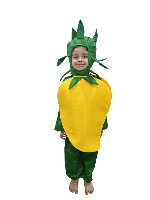BookMyCostume Mango Fruit Kids Fancy Dress Costume